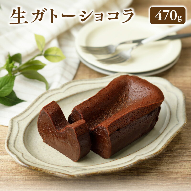 生ガトーショコラ 470g 冷凍