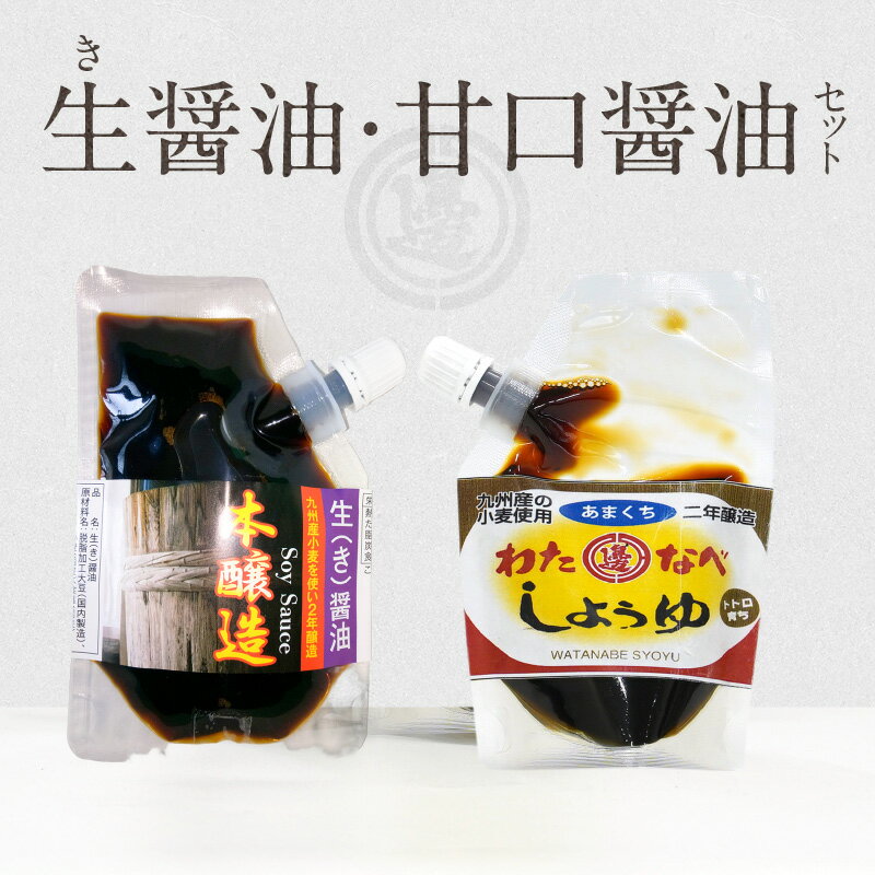 醤油 2種類 セット 生醤油 甘口醤油 各 90ml 計 180ml パウチ 入り 国産 長期熟成 醤油麹 2年醸造 国産原料 調味料 加工品 味付け 大豆 手作り 宮崎県 延岡市 渡邊味噌醤油醸造株式会社 お取り寄せ 送料無料