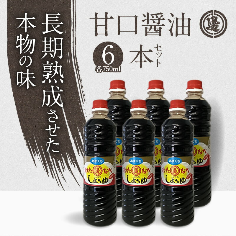 【ふるさと納税】醤油 九州醤油 750ml 6本 セット 計 4500ml 甘口 国産 九州産小麦 発酵 もろみ 2年醸造 延岡市 国産原料 調味料 加工品 大豆 加工品 渡邊味噌醤油醸造株式会社 お取り寄せ 宮崎県 送料無料