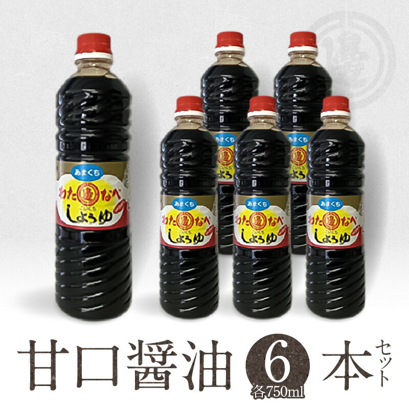 醤油 九州醤油 750ml 6本 セット 計 4500ml 甘口 国産 九州産小麦 発酵 もろみ 2年醸造 延岡市 国産原料 調味料 加工品 大豆 加工品 渡邊味噌醤油醸造株式会社 お取り寄せ 宮崎県 送料無料