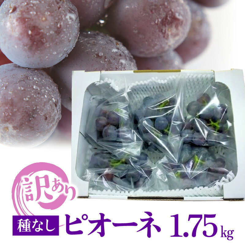 【ふるさと納税】訳あり ピオーネ 種なし 房なし ぶどう 5袋 1箱 1.75kg 粒 大小混合 枝付き 旬 美味しい 果物 フルーツ 国産 お取り寄せフルーツ 冷蔵 お取り寄せ 宮崎県 延岡市 田口ファミリーファーム 送料無料