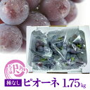 ピオーネ 種なし 房なし ぶどう 5袋 1箱 1.75kg 粒 大小混合 枝付き 旬 果物 フルーツ 国産 お取り寄せフルーツ 冷蔵 お取り寄せ 宮崎県 延岡市...