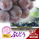 【ふるさと納税】訳あり ぶどう 300g ×5袋 合計1.5kg 様々な大きさ 美味しい 2種類以上 種なし 房なし 果物 フルーツ 冷蔵 箱詰め 国産 田口フ...