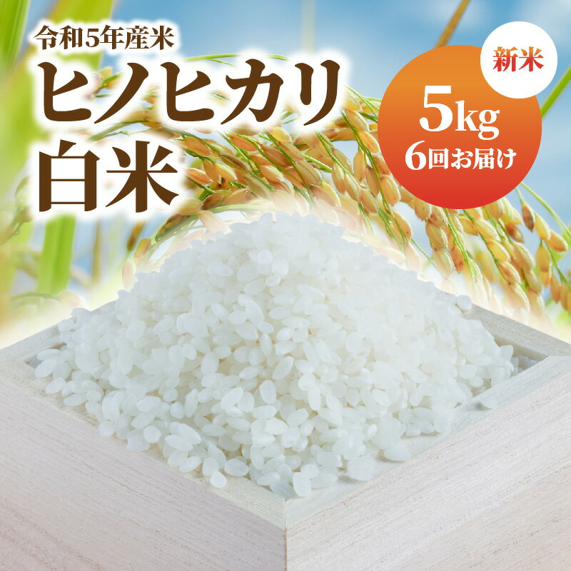 41位! 口コミ数「0件」評価「0」米 定期便 計30kg 5kg × 6回 令和5年産 新米 ヒノヒカリ むかばき山 カームファム ふっくら お米 白米 おにぎり ご飯 弁当･･･ 