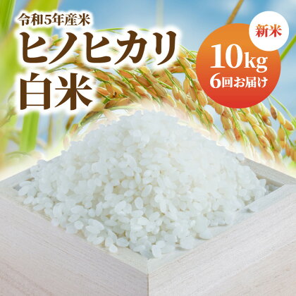 新米 令和5年産米 お米 白米 ヒノヒカリ 10kg×6回 むかばき山 カームファム