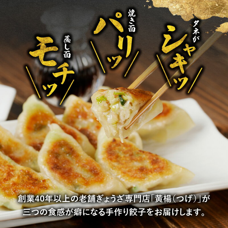 【ふるさと納税】ぎょうざの店 黄楊 手作り 餃子 計 60個 ぎょうざ 専門店 受注生産 30個 × 2袋 低臭ニンニク 野菜 ラード たれ付き 冷凍 焼くだけ 簡単 グルメ 食品 ご飯のお供 惣菜 おかず おつまみ 宮崎県 延岡市 お取り寄せ お取り寄せグルメ 送料無料