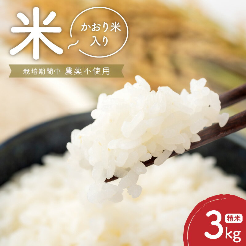 96位! 口コミ数「5件」評価「4」米 3kg 精米 自家生産 栽培期間中 農薬 不使用 白米 もち米 かおり米 ブレンド 風味 食感 自社生産 お米 ご飯 おにぎり おむすび お弁当 弁当 炊き込みご飯 食品 食べ物 瀧本農産 お取り･･･ 