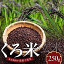 返礼品詳細 名称 【ふるさと納税】米 くろ米 250g 内容量 くろ米（玄米）250g 配送温度帯 常温 賞味期限 パッケージに記載 提供事業者 瀧本農産 ・ふるさと納税よくある質問はこちら ・寄附申込みのキャンセル、返礼品の変更・返品はできません。あらかじめご了承ください。【ふるさと納税】米 くろ米 250g 栽培期間中、農薬不使用で草取りなど手間暇かけて自家生産したくろ米です。レターパックにてお送りいたします。 受領証明書及びワンストップ特例申請書のお届けについて 入金確認後、注文内容確認画面の【注文者情報】に記載の住所にお送りいたします。発送の時期は、寄付確認後2ヵ月以内を目途に、お礼の特産品とは別にお送りいたします。