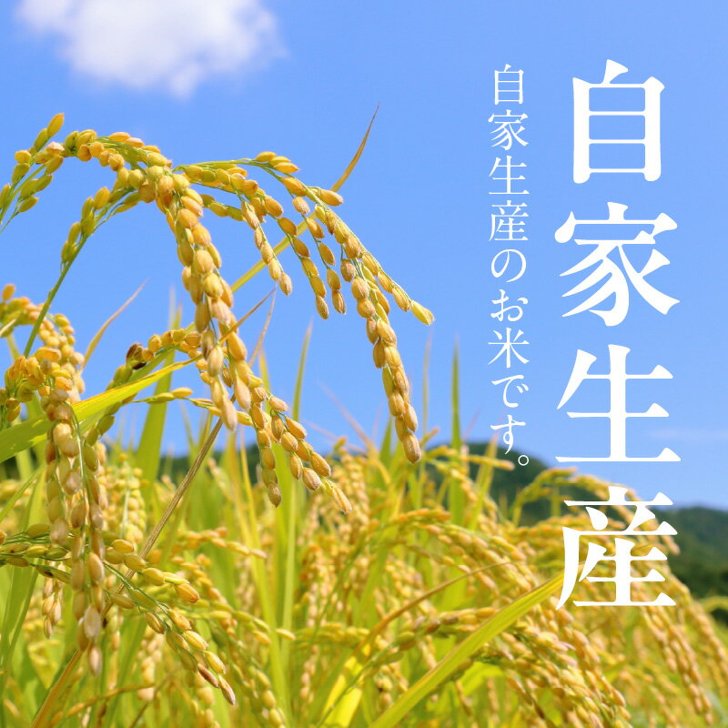 【ふるさと納税】米 1kg 精米 自家生産 栽培期間中 農薬 不使用 白米 自社生産 お米 ご飯 おにぎり おむすび お弁当 弁当 炊き込みご飯 食品 食べ物 瀧本農産 お取り寄せ お取り寄せグルメ 宮崎県 延岡市 送料無料