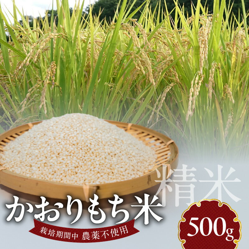 【ふるさと納税】米 かおりもち米 500g 自家生産 栽培期間中 農薬 不使用 自社生産 精米 食品 食べ物 ...