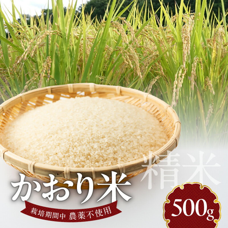 8位! 口コミ数「0件」評価「0」米 かおり米 500g 精米 自家生産 栽培期間中 農薬 不使用 白米 自社生産 お米 ご飯 おにぎり おむすび お弁当 弁当 炊き込みご飯･･･ 