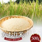 【ふるさと納税】米 かおり米 500g 精米 自家生産 栽培期間中 農薬 不使用 白米 自社生産 お米 ご飯 おにぎり おむすび お弁当 弁当 炊き込みご飯 食品 食べ物 瀧本農産 お取り寄せ お取り寄せグルメ 宮崎県 延岡市 送料無料