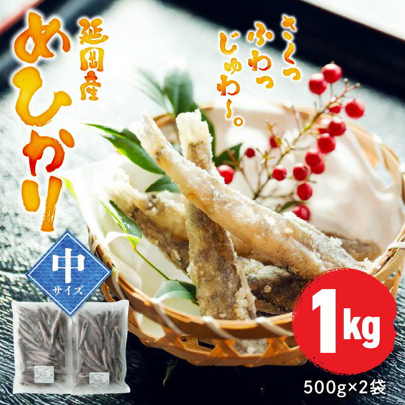 9位! 口コミ数「0件」評価「0」延岡産 めひかり 無頭 中サイズ 500g × 2袋 計1kg 75尾前後 冷凍 国産 北浦漁港 小魚 魚 柔らかい 丸ごと 唐揚げ おつま･･･ 