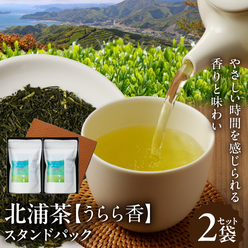 5位! 口コミ数「0件」評価「0」北浦茶 お茶 100g × 2袋 セット 合計 200g うらら香 スタンドパック 香りと味わい 緑茶 日本茶 茶葉 贈答 贈り物 ギフト ･･･ 