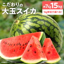 【ふるさと納税】大玉 スイカ 1玉 選べる 約 7kg ~ 15kg こだわり 完熟 甘みが詰まった 農家直送 旬のフルーツ 大玉スイカ ジューシー フルーツ 果物 ジュース お取り寄せ お取り寄せフルーツ 宮崎県 延岡市 送料無料
