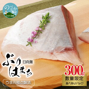 【ふるさと納税】数量限定 ぶり はまち 約 300g 3〜4人分 食べきりパック 養殖 うまみ極点製法 日向灘 お刺身 漬け丼 下処理いらず 袋から出して切るだけ ほどよい脂 宮崎県 延岡市 食品 食べ物 魚介類 水産加工品 送料無料 冷蔵