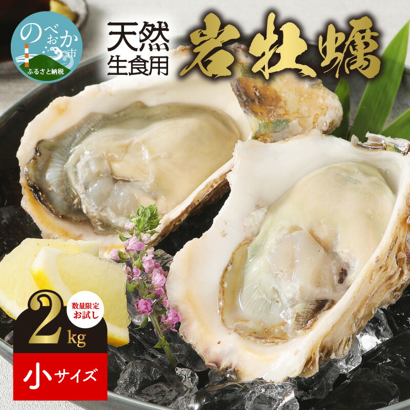 【ふるさと納税】岩牡蠣 2kg 天然 生食用 数量限定 お試し 【小サイズ 180g】 （2023年4月中旬から発送開始）延岡市産 冷蔵 生牡蠣 岩がき 殻付き 国産 牡蠣