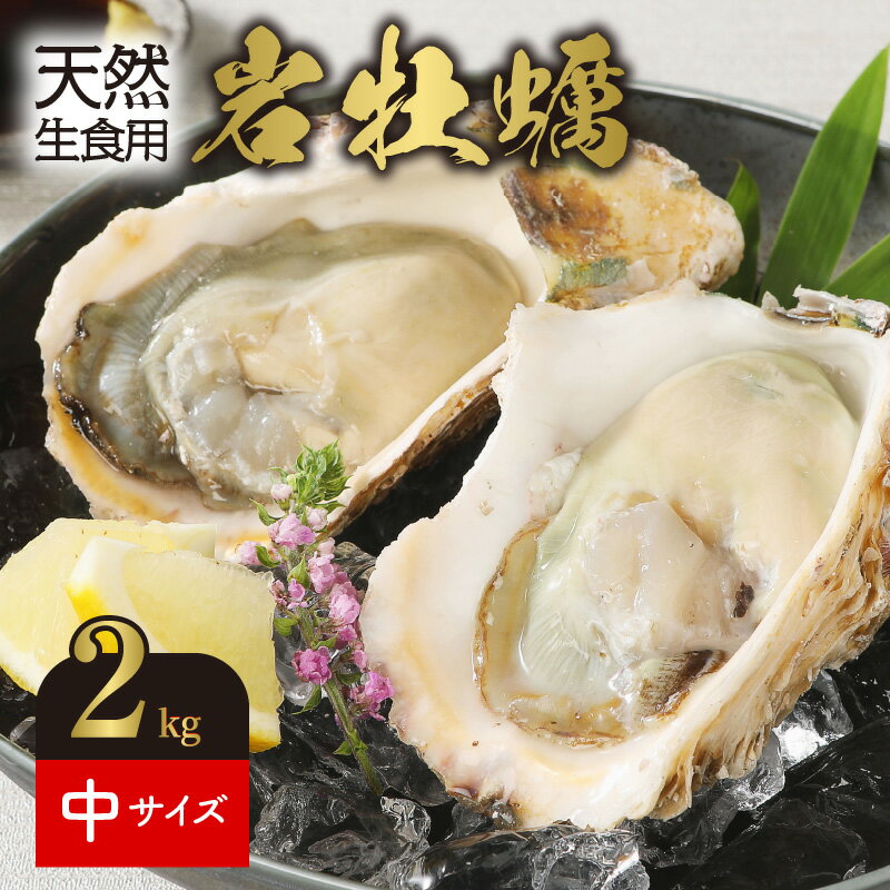 【ふるさと納税】岩牡蠣 2kg 天然 生食用 生牡蠣 中サ...