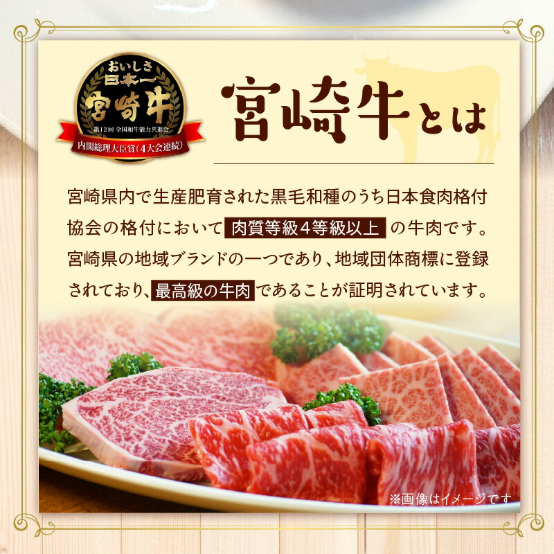 【ふるさと納税】寿司4種類 食べ比べセット (合計11貫・4種類) 海鮮 和食 秋刀魚 さんま 鯖 さば 鯵 あじ 鰶 このしろ 寿司 すし 名物 お土産 惣菜 おつまみ 手作り 冷凍寿司 大分県 佐伯市【DH287】【(株)ネクサ】