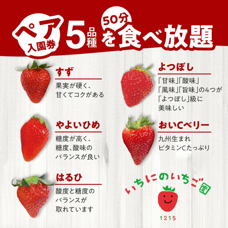【ふるさと納税】苺 いちご狩り 5品種 食べ放題 50分 ペア 入園券 いちにのいちご園 大人 2名 すず よつぼし やよいひめ おいCベリー はるひ 体験 フルーツ 旅行 宮崎県 延岡市 ストロベリー 果物 フルーツ狩り 予約制 期間限定