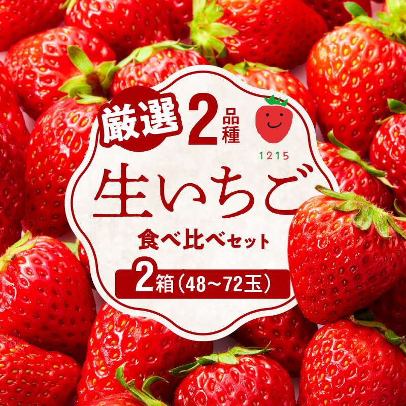 【ふるさと納税】2024年1月から発送開始 いちご 生いちご 厳選 2品種 食べ比べ セット 果物 いちにのいちご園 2箱 フルーツ お取り寄せ お取り寄せフルーツ 手土産 プレゼント 送料無料 食品 宮崎県 延岡市