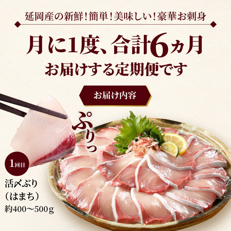 【ふるさと納税】活〆鮮魚 豪華 お刺身 定期便 6ヶ月 国産 お楽しみ 刺身 ヒラメ 真鯛 カンパチ シマアジ ブリ ハマチ 延岡産 活〆 昆布〆 旬 鮮魚 海鮮 魚介類 海の幸 冷蔵 解凍不要 しゃぶしゃぶ カルパッチョ グルメ 宮崎県 延岡市 請関水産 日向灘 お取り寄せ 送料無料