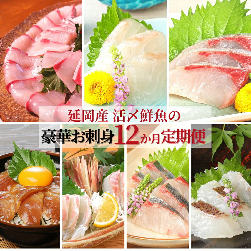 【ふるさと納税】刺身 魚介類 定期便 12ヶ月 ヒラメ 真鯛 カンパチ シマアジ ブリ 漬け丼 マグロ サーモン メヒカリ はまち チルド冷蔵 活〆 宮崎県延岡市 請関水産 送料無料