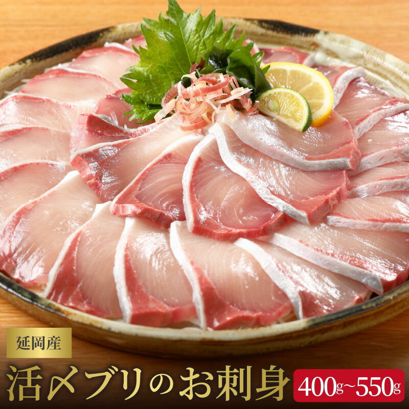 【ふるさと納税】【父の日】日向灘どれ 延岡産 活〆ブリ お刺身 400g ～ 550g チルド冷蔵 ぶりしゃぶ ぶり刺身 旬 国産 宮崎県 延岡市 請関水産 海産物 海の幸 魚介 お取り寄せ お取り寄せグルメ 送料無料