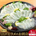 【ふるさと納税】刺身 ヒラメ 約 300g ~ 400g 活〆 延岡産 新鮮 国産 請関水産 下処理いらず エンガワ 真空パック 日向灘 弾力 甘み 上品 冷蔵 お取り寄せ お取り寄せグルメ 送料無料 食品 食…