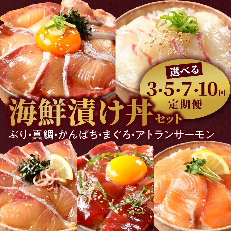 【ふるさと納税】リピーター続出 海鮮漬け丼 定期便 選べる 