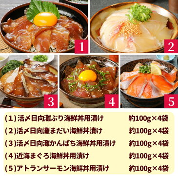 【ふるさと納税】定期便 5回 海鮮漬け丼 セット ぶり 真鯛 かんぱち まぐろ アトランサーモン 漬け丼 魚 バラエティ 活〆 簡単 便利 小分け 個包装 刻み海苔 海鮮茶漬け 解凍するだけ 流水解凍 新鮮 魚介類 日向灘 請関水産 宮崎県 延岡産 冷凍 送料無料