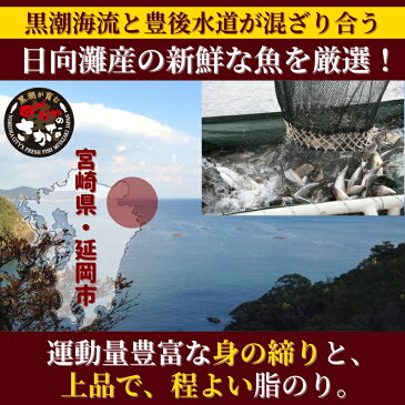 【ふるさと納税】定期便 5回 海鮮漬け丼 セット ぶり 真鯛 かんぱち まぐろ アトランサーモン 漬け丼 魚 バラエティ 活〆 簡単 便利 小分け 個包装 刻み海苔 海鮮茶漬け 解凍するだけ 流水解凍 新鮮 魚介類 日向灘 請関水産 宮崎県 延岡産 冷凍 送料無料