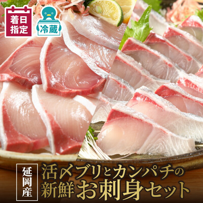 【ふるさと納税】【最短10日後以降発送可】 ＜レビューキャンペーン＞ 刺身 延岡産 活〆 ブリ カンパチ 新鮮 お刺身 セット チルド 柵 ..