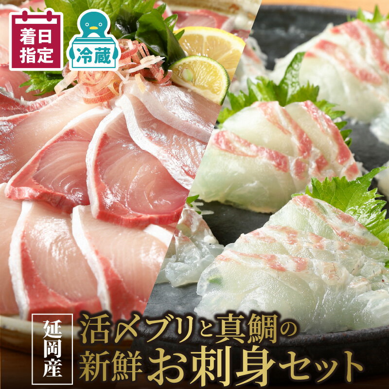 [御中元] [最短10日後以降発送可] [レビューキャンペーン] 刺身 延岡産 活〆 ブリ 真鯛 新鮮 お刺身 セット チルド 柵 鯛 国産 日向灘産 旬 鮮魚 海鮮 魚介類 冷蔵 食品 解凍不要 宮崎県 延岡市 請関水産 日向灘 お取り寄せ お取り寄せグルメ 送料無料