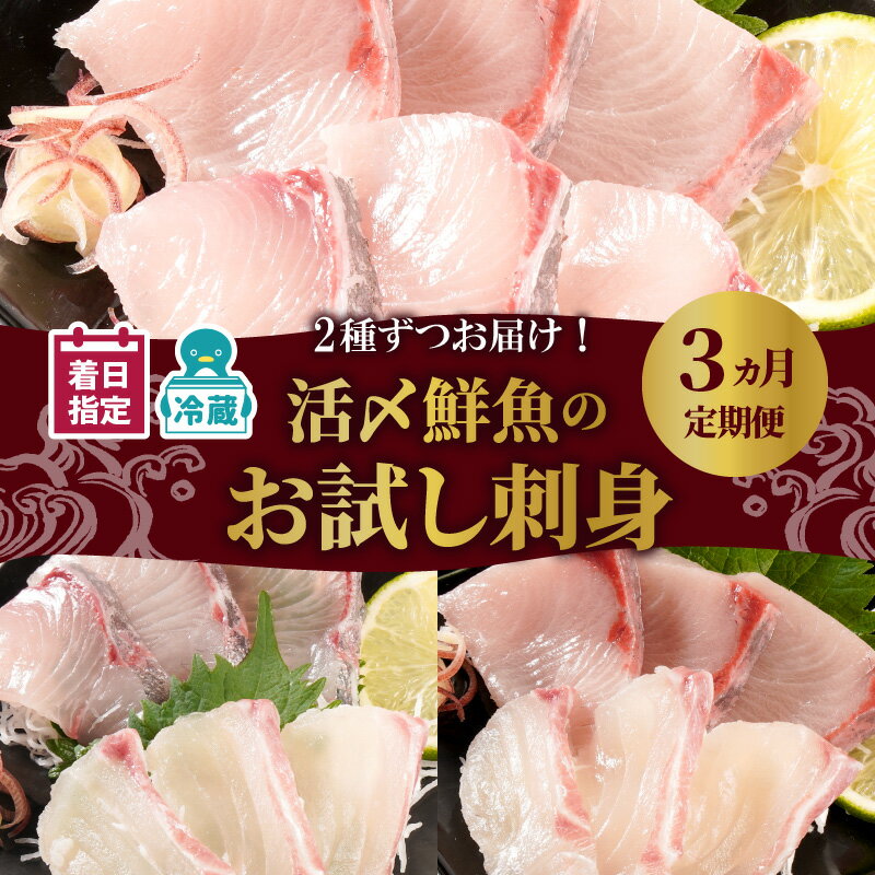 [着日指定] お刺身 定期便 3回 豪華 鮮魚 延岡産 ブリ 真鯛 カンパチ 季節 魚 国産 活〆 解凍不要 おつまみ カルパッチョ 鮮魚 魚介類 食品 冷蔵 請関水産 グルメ お取り寄せ 宮崎県 延岡市 送料無料
