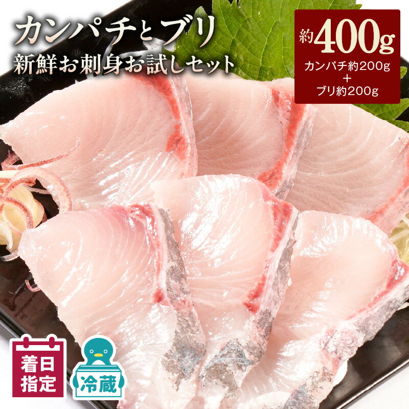 [最短10日後以降発送可] [レビューキャンペーン] カンパチ ブリ 新鮮 刺身 400g セット 詰め合わせ 少量 お試し パック お刺身 刺身セット 請関水産 冷蔵 魚介 食品 水産物 魚 魚加工品 お取り寄せ お取り寄せグルメ 送料無料 宮崎県 延岡市