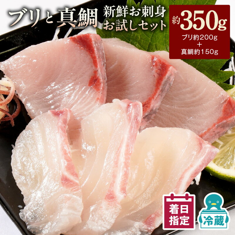 [最短10日後以降発送可] [レビューキャンペーン] ブリ 真鯛 新鮮 刺身 350g セット 詰め合わせ 少量 お試し パック お刺身 刺身セット 請関水産 冷蔵 魚介 食品 水産物 魚 魚加工品 お取り寄せ お取り寄せグルメ 送料無料 宮崎県 延岡市