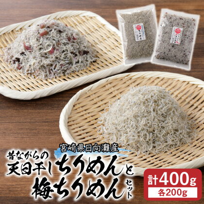 天日干し ちりめん 梅ちりめん セット シラス いわし稚魚 塩ゆで 天日乾燥 水産物 紀州産 カリカリ梅 ご飯のお供 炒飯 宮崎県 延岡市 日向灘産 食品 お取り寄せ お取り寄せグルメ 送料無料