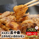 【ふるさと納税】定期便 6回 上ホルモン 白ホルモン 200g × 各2パック 計4パック ホルモン五十番 特製タレ付き 豚ハラミ 豚直腸 炭火焼 焼き肉 バーベキュー BBQ フライパンで簡単 調理 小分け 便利 冷凍 宮崎県 延岡市 お取り寄せ お取り寄せグルメ 送料無料