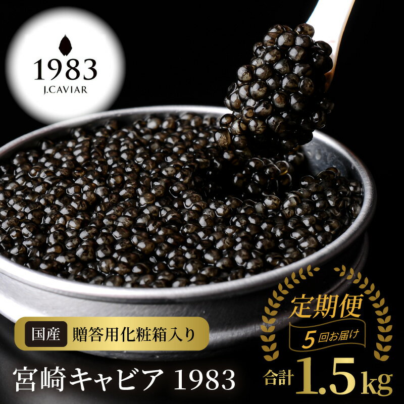 【ふるさと納税】【定期便 5回】 宮崎 キャビア 1983 合計 1.5kg 300g × 5 シェルスプーン 贈答用化粧箱 国産 フレッシュキャビア 熟成 チ...