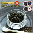 【ふるさと納税】【日本のキャビアの日】 限定企画 宮崎 キャビア 1983 和風 食べ比べセット 20g × 2種 シェルスプーン 贈答用化粧箱 レシピ付き 魚卵 高級 グルメ ジャパンキャビア 冷凍 熟成 フレッシュキャビア お取り寄せ 宮崎県 延岡市 送料無料