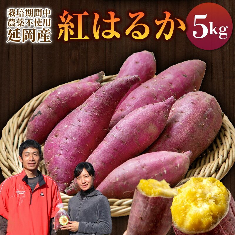 10位! 口コミ数「0件」評価「0」先行予約 さつまいも 紅はるか 5kg 栽培期間中農薬不使用 芋 焼きいも 国産 宮崎県延岡市 送料無料