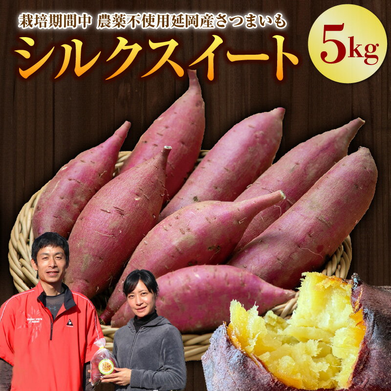 8位! 口コミ数「1件」評価「1」先行予約 さつまいも シルクスイート 5kg 1本120g〜450g 芋 焼きいも 国産 栽培期間中農薬不使用 滑らかな舌触り 上品な 甘さ･･･ 