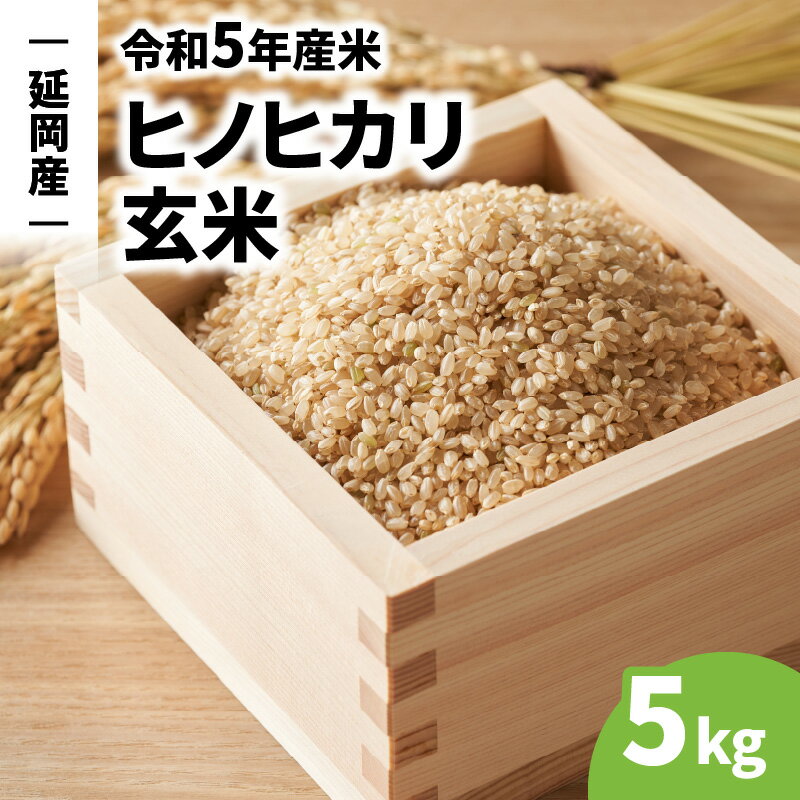 【ふるさと納税】延岡産 ヒノヒカリ 5kg 玄米 令和5年産