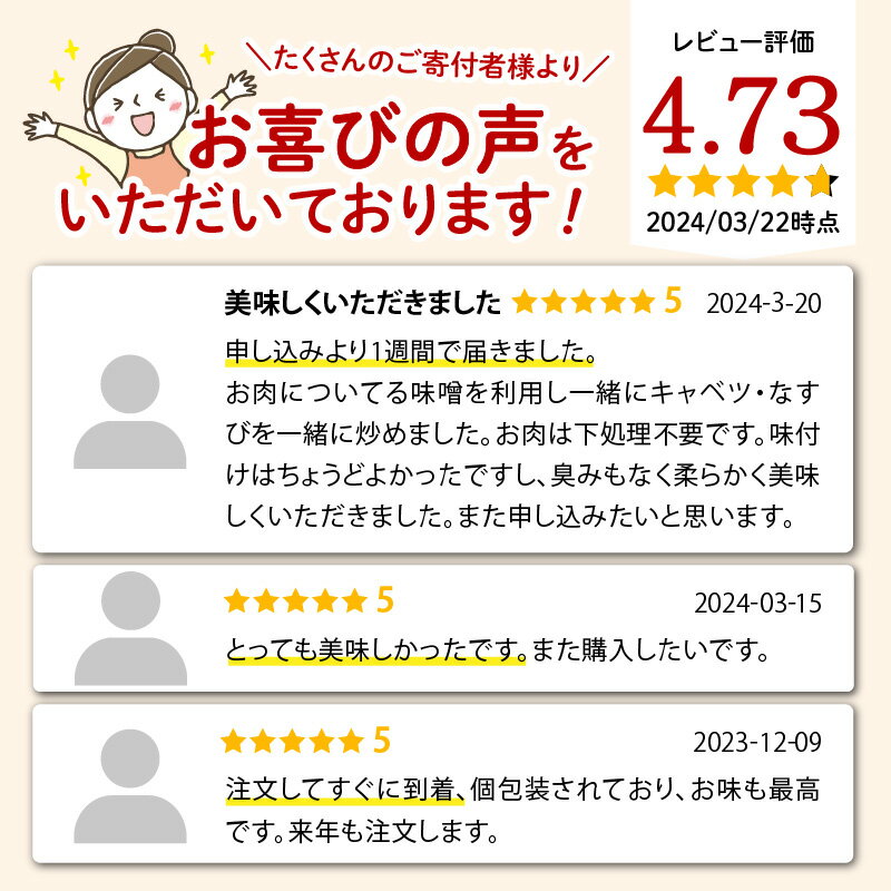 【ふるさと納税】宮崎ブランドポーク 豚ロース みそ漬け 豚肉 柔らかい 味付き 小分け 味噌豚 おかず おつまみ 惣菜 味付き肉 肉 焼くだけ 簡単調理 炒める 冷凍 真空パック 国産 宮崎県 延岡市 お取り寄せ お取り寄せグルメ 送料無料