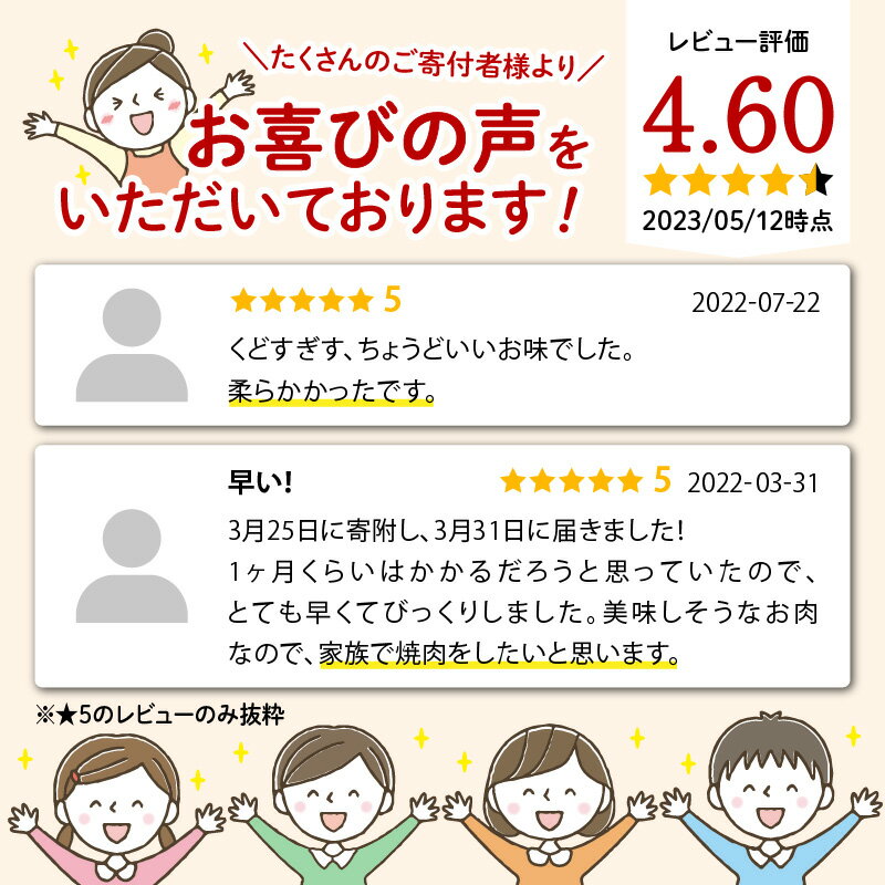 【ふるさと納税】豚肉 豚ハラミ サガリ タレ漬け 500g 3〜5人前 宮崎産 国産 真空パック 焼肉 肉 やわらかい 食べやすい 焼くだけ ギフト お取り寄せ お取り寄せグルメ 精肉 加工品 宮崎県 延岡市 送料無料 ごはんのおとも 食品 食べ物 冷凍