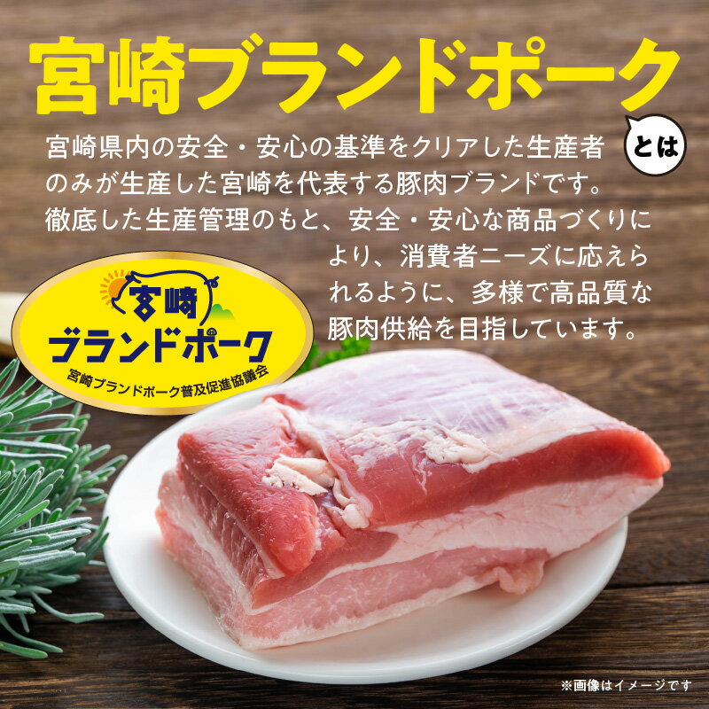 【ふるさと納税】豚肉 計3kg 小間切れ 定期便 3回 宮崎ブランドポーク 1kgを3カ月お届け フリーザーバッグ 豚 ブランド豚 小間 ジップ 宮崎県 延岡市 肉のマル誠 料理 炒めもの おかず 晩ごはん お弁当 お取り寄せ お取り寄せグルメ 肉 送料無料