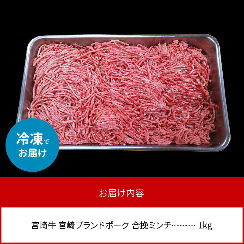 肉 合挽ミンチ 挽肉 宮崎牛 贈答品 ブランドポーク ハンバーグ 宮崎県 1kg 宮崎ブランドポーク