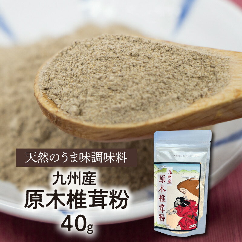 調味料 40g 干ししいたけ 粉末 国産 九州産 原木椎茸 天然 味の素 40g 1袋 パウダー グアニル酸 味噌汁 焼肉 パスタ マヨネーズ ケチャップ ドレッシング かけるだけ 延岡市 お取り寄せ 食品 常温 送料無料