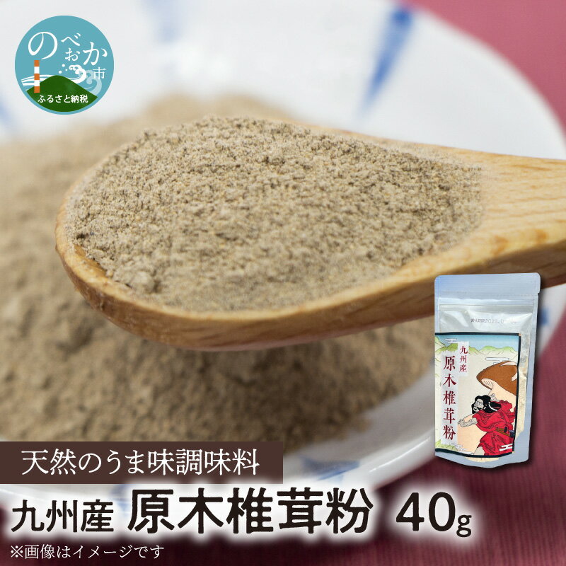 【ふるさと納税】調味料 40g 干ししいたけ 粉末 国産 九州産 原木椎茸 天然 味の素 40g 1袋 パウダー グアニル酸 味噌汁 焼肉 パスタ マヨネーズ ケチャップ ドレッシング かけるだけ 延岡市 お取り寄せ 食品 常温 送料無料